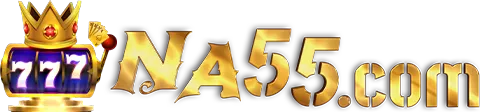 NA55.COM